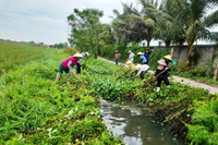 5-xa-hoang-thanh-thanh-hoa-huy-dong-nguoi-dan-khoi-thong-dong-chay-truoc-khi-bao-do-bo.jpg