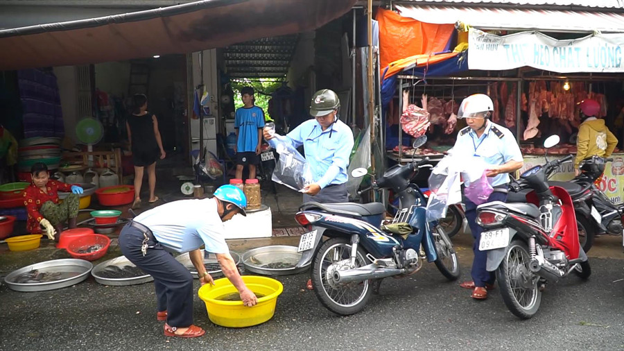 Ngành chức năng kiểm tra, xử lý tiểu thương bày bán cá non tại chợ.