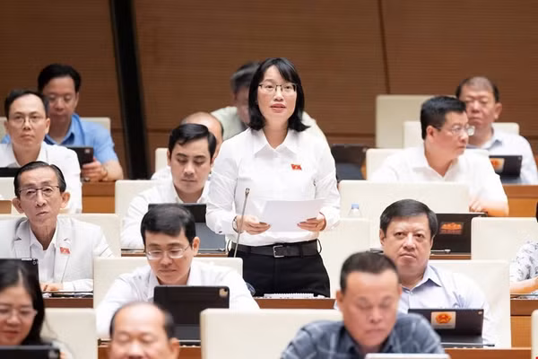 Đại biểu Trần Thị Diệu Thúy cho biết nhiều trung tâm cung ứng dịch vụ công tại TPHCM chưa đi vào hoạt động vì nhiều lý do khác nhau. Ảnh: Media Quốc hội.