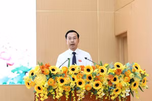 Ông Nguyễn Thanh Nhàn, Phó Bí thư Tỉnh ủy, Chủ tịch HĐND tỉnh An Giang khóa X, phát biểu tại kỳ họp.