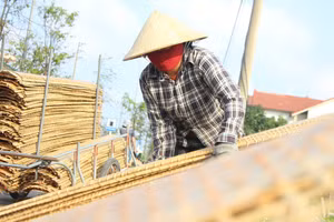 Làng bánh đa nem Hà Tĩnh tất bật sản xuất cung ứng cho thị trường Tết Bính Ngọ.