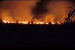 Hiện trường vụ cháy rừng tại An Giang.