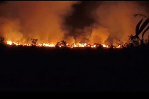 Hiện trường vụ cháy rừng tại An Giang.