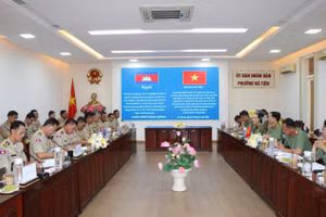 Quang cảnh buổi làm việc. 
