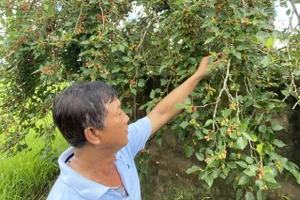 Đời sống hộ nghèo vùng Bảy Núi từng bước cải thiện nhờ các chính sách, mô hình giảm nghèo. Ảnh: Hoàng Lê.