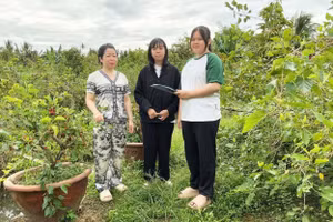 Nhóm học sinh nghiên cứu khoa học kỹ thuật phỏng vấn chị Nguyễn Thị Hồng Mơ.