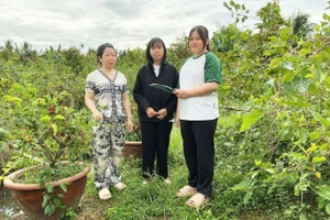 Nhóm học sinh nghiên cứu khoa học kỹ thuật phỏng vấn chị Nguyễn Thị Hồng Mơ.