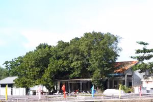 Vĩnh Gia là xã nằm trên tuyến biên giới, cửa ngõ quan trọng phía Tây Nam của tỉnh An Giang.