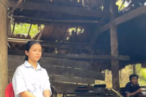 Giấc mơ giảng đường của Nhung vẫn treo lơ lửng bên bữa cơm nghèo.