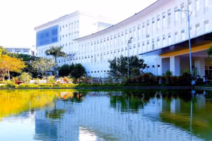 Điểm số UI GreenMetric năm 2025 của Trường Đại học An Giang đạt 6.985 điểm.