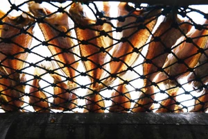 Vỉ khô tươi rói dưới nắng vàng rực tại Hòn Sơn (An Giang).