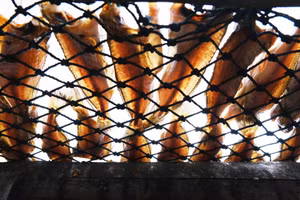 Vỉ khô tươi rói dưới nắng vàng rực tại Hòn Sơn (An Giang).