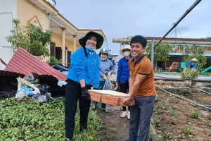 Ngành chức năng, chính quyền địa phương chung tay cùng các đơn vị trường học Hà Tĩnh khắc phục hậu quả bão Bualoi.