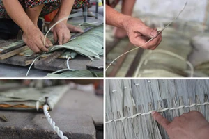 Nghề chằm áo tơi tại thôn Yên Lạc (xã Xuân Lộc, Hà Tĩnh).