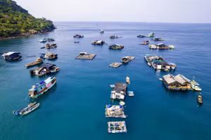 Tỉnh An Giang có vị trí địa chiến lược đặc biệt quan trọng, với đường bờ biển dài 200km.