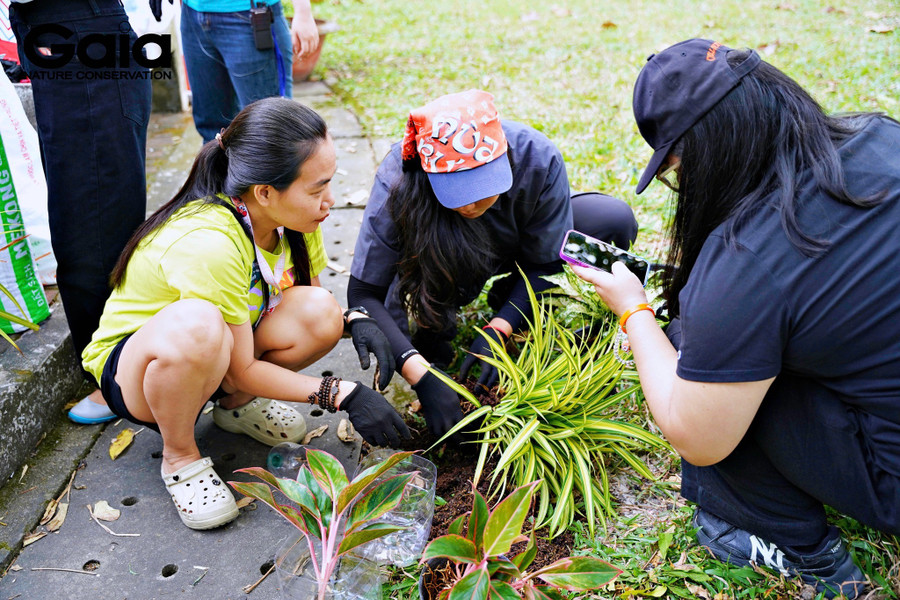 Người dân TPHCM trồng cây. Ảnh: Gaia.