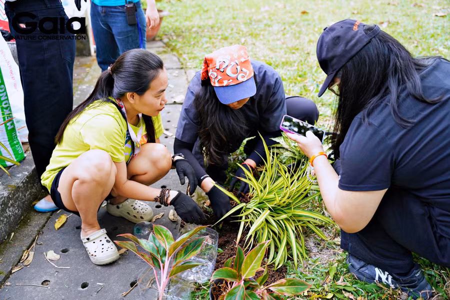 Người dân TPHCM trồng cây. Ảnh: Gaia.