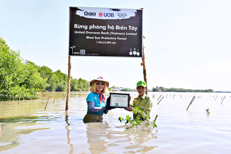 Trung tâm Bảo tồn Thiên nhiên Gaia trồng rừng tại Đê Biển Tây (Cà Mau). Ảnh: Gaia. gaia-13.jpg