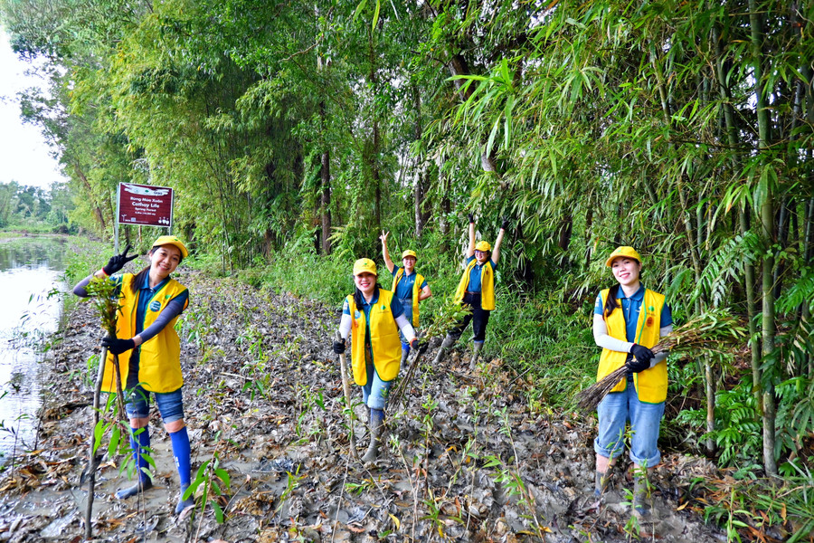 62.000 cây xanh được trồng trong 3 tháng cuối năm 2025. Ảnh: Gaia. gaia-5-7638.jpg
