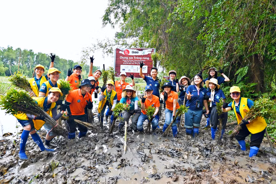  Các doanh nghiệp tham gia Chung sức trồng rừng Mùa xuân. Ảnh; Gaia. 