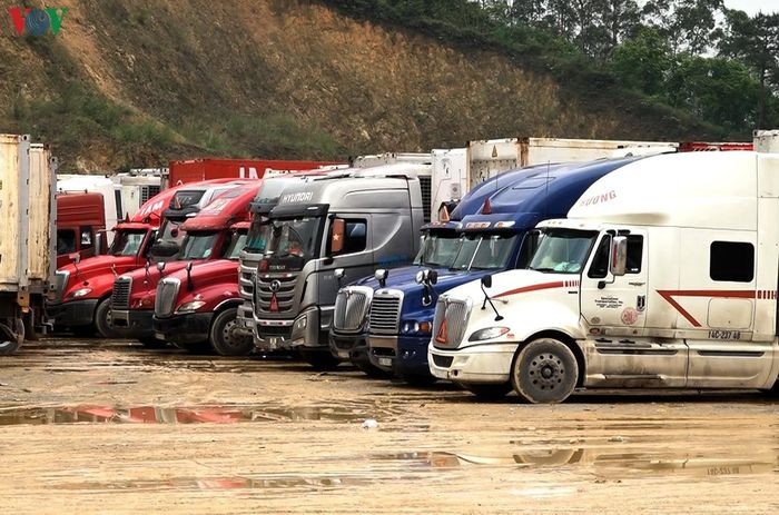 Đề xuất tạm ngừng tiếp nhận hàng hóa lên cửa khẩu Tân Thanh