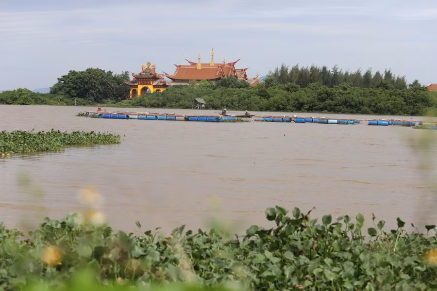 Người dân Thạch Hạ (TP Hà Tĩnh) dùng phương tiện đưa cá lồng bè vào bên trong khu vực nuôi trồng để tránh bão