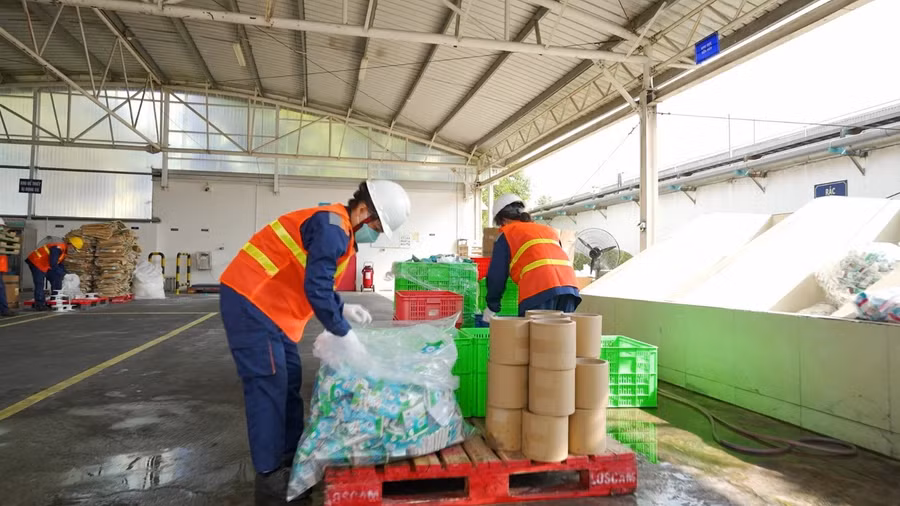 Phân loại rác thải tại nhà máy sữa của FrieslandCampina Việt Nam.
