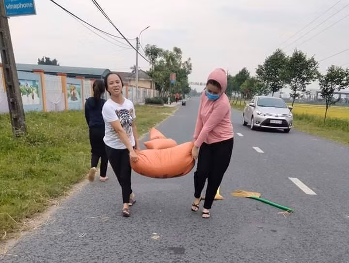 Sau 20 phút, toàn bộ lúa đã được thu gom trước khi trận mưa ập tới