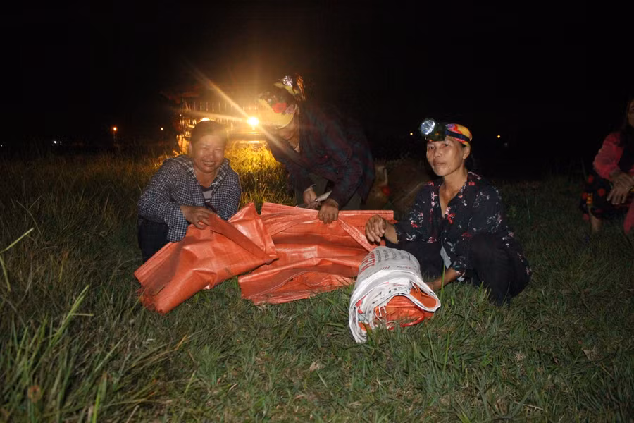 Hà Tĩnh: Trốn nắng, bà con nông dân ra đồng gặt đêm ảnh 3