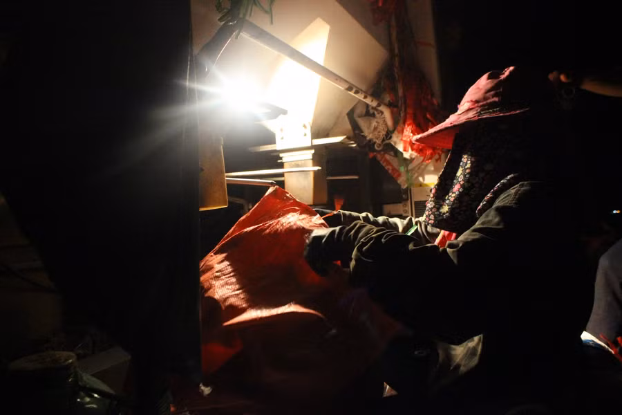 Lúa được gặt cho vào bao đóng ngay trên ruộng