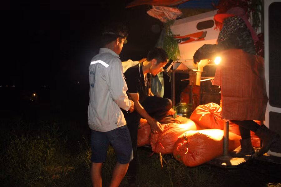 Hà Tĩnh: Trốn nắng, bà con nông dân ra đồng gặt đêm ảnh 9