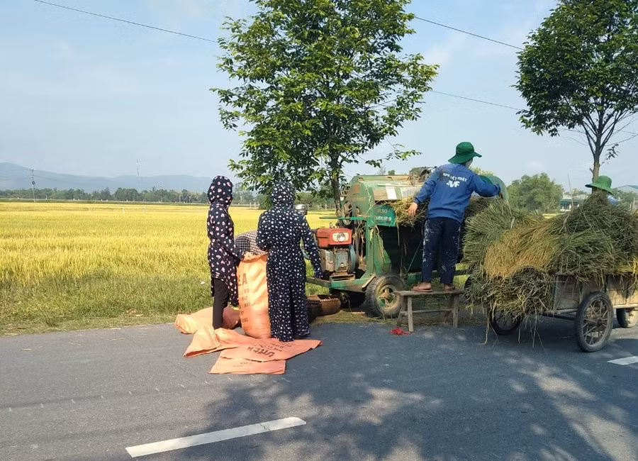 Tranh thủ dịp nghỉ hè, các các giáo viên còn giúp bà con nông dân tuốt lúa