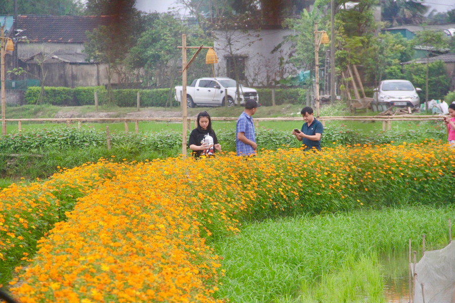 "Con đường hoa này, tôi chỉ gieo trồng cho vui nhằm tạo điểm nhấn cho mô hình nhưng không ngờ lại được nhiều người thích thú và thường xuyên đến chụp ảnh", anh Quyền cho hay. "Con đường hoa này, tôi chỉ gieo trồng cho vui nhằm tạo điểm nhấn cho mô hình nhưng không ngờ lại được nhiều người thích thú và thường xuyên đến chụp ảnh", anh Quyền cho hay.
