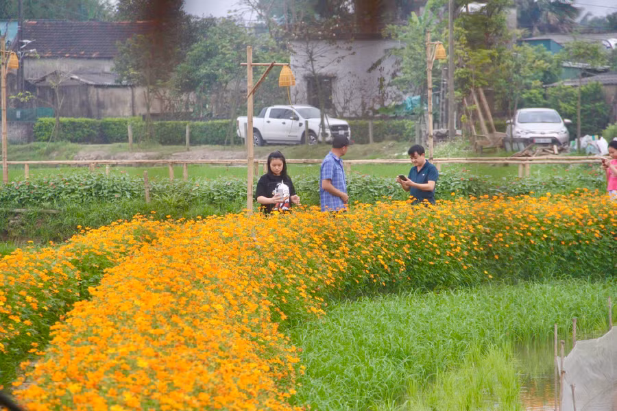 "Con đường hoa này, tôi chỉ gieo trồng cho vui nhằm tạo điểm nhấn cho mô hình nhưng không ngờ lại được nhiều người thích thú và thường xuyên đến chụp ảnh", anh Quyền cho hay.