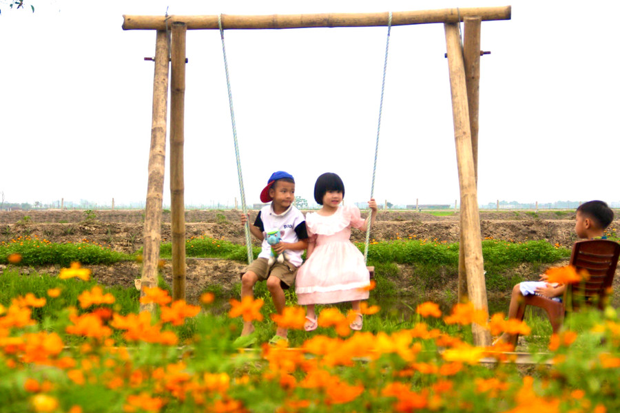 Anh Quyền còn lắp đặt thêm xích đu và nhiều điểm giữa con đường hoa vàng để khách tham quan tha hồ tạo nhiều kiểu dáng check in. Anh Quyền còn lắp đặt thêm xích đu và nhiều điểm giữa con đường hoa vàng để khách tham quan tha hồ tạo nhiều kiểu dáng check in.