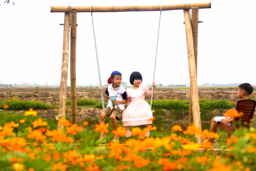 Anh Quyền còn lắp đặt thêm xích đu và nhiều điểm giữa con đường hoa vàng để khách tham quan tha hồ tạo nhiều kiểu dáng check in.