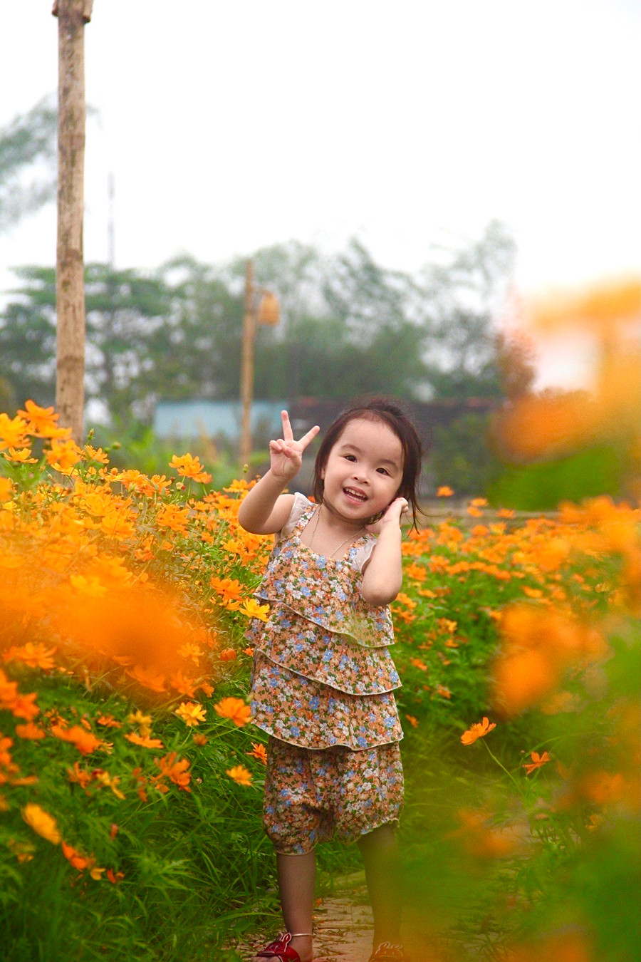 Du khách thoải mái check-in mà không hề bị thu phí. Chủ nhân con đường hoa chỉ hy vọng, khi tham quan, mọi người không bẻ hoa hay dẫm đạp lên cây. Du khách thoải mái check-in mà không hề bị thu phí. Chủ nhân con đường hoa chỉ hy vọng, khi tham quan, mọi người không bẻ hoa hay dẫm đạp lên cây.