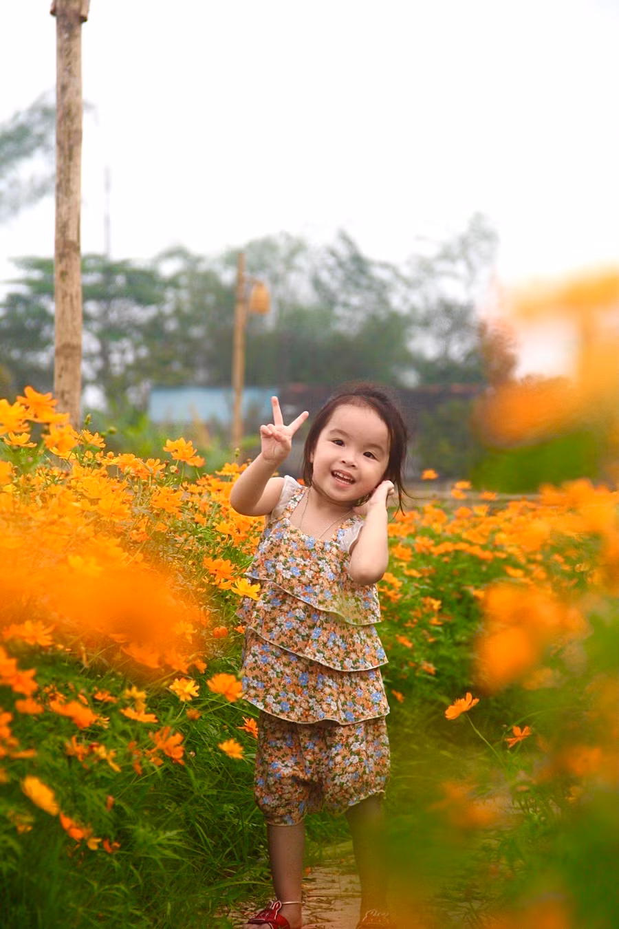 Du khách thoải mái check-in mà không hề bị thu phí. Chủ nhân con đường hoa chỉ hy vọng, khi tham quan, mọi người không bẻ hoa hay dẫm đạp lên cây.