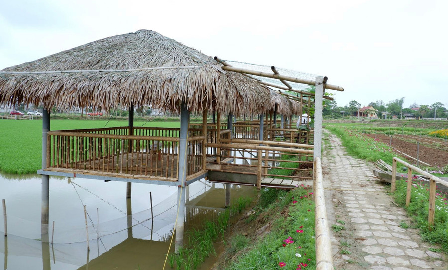 Ngoài ra, trên ruộng lúa còn được chủ nhân nuôi đầy cá, tôm, và xây dựng các lán nghỉ bằng tre nứa... để du khách trải nghiệm, tham quan. Đặc biệt, từ 29/44-2/5, khu vực này được UBND thành phố Hà Tĩnh dự kiến tổ chức thí điểm mô hình phiên chợ quê với các gian hàng nông sản địa phương. Ngoài ra, trên ruộng lúa còn được chủ nhân nuôi đầy cá, tôm, và xây dựng các lán nghỉ bằng tre nứa... để du khách trải nghiệm, tham quan. Đặc biệt, từ 29/44-2/5, khu vực này được UBND thành phố Hà Tĩnh dự kiến tổ chức thí điểm mô hình phiên chợ quê với các gian hàng nông sản địa phương.