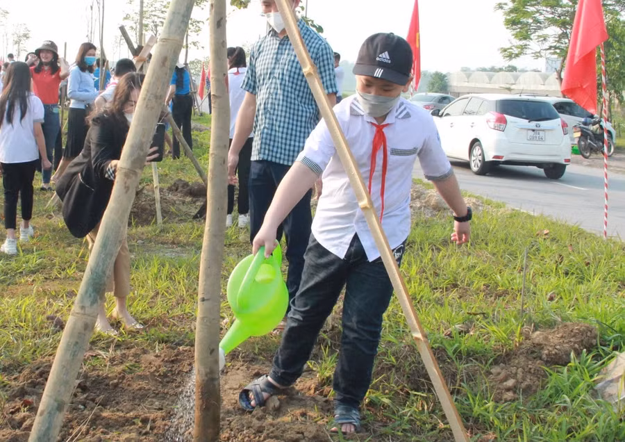 Hoạt động trồng cây có sự tham dự của nhiều học sinh trên địa bàn Thành phố Hà Tĩnh.