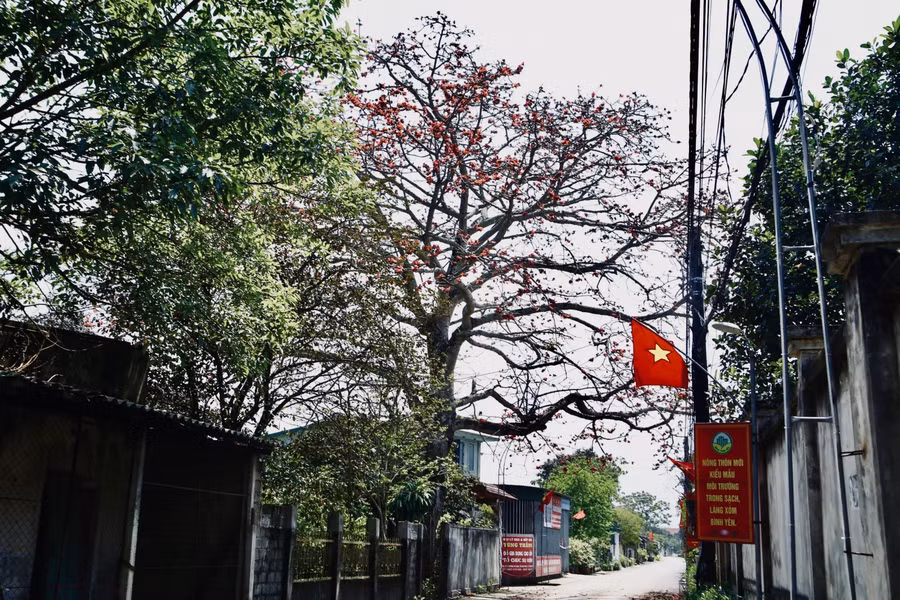 Cây gạo cổ thụ hiện đang thuộc sở hữu của gia đình ông Đặng Tất Thắng (SN 1955) và bà Nguyễn Thị Chỉnh (SN 1954) tại khối 2, thị trấn Tiên Điền, huyện Nghi Xuân (Hà Tĩnh).