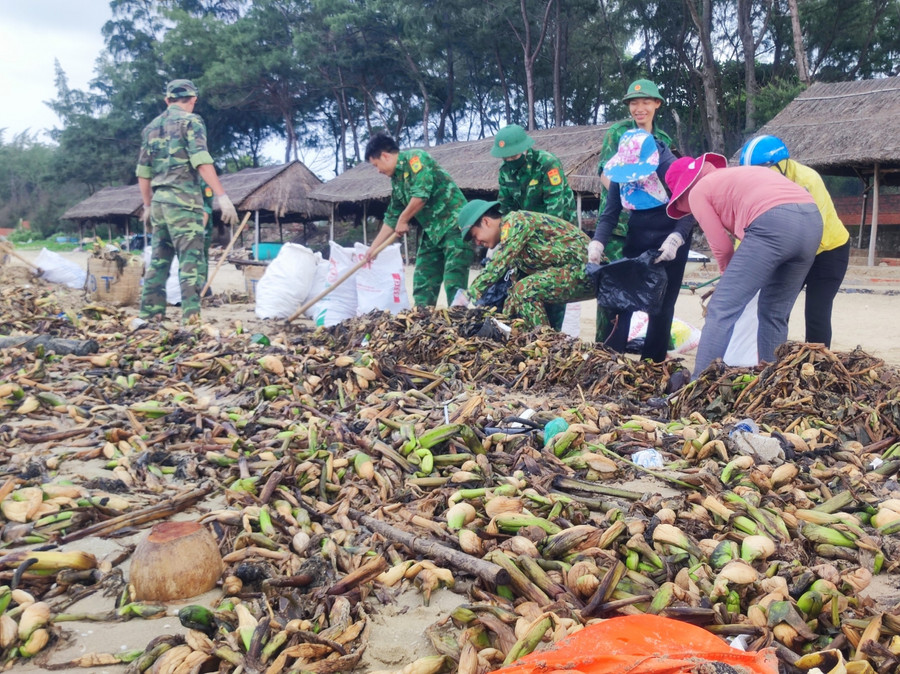 Cán bộ, chiến sĩ Đồn Biên phòng Chí Linh và các đoàn viên thanh niên, hội viên Hội Phụ nữ phường 10, TP Vũng Tàu tích cực dọn vệ sinh và thu gom rác thải.