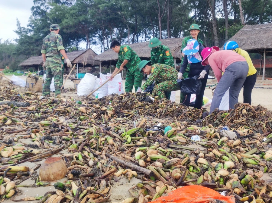 Cán bộ, chiến sĩ Đồn Biên phòng Chí Linh và các đoàn viên thanh niên, hội viên Hội Phụ nữ phường 10, TP Vũng Tàu tích cực dọn vệ sinh và thu gom rác thải.