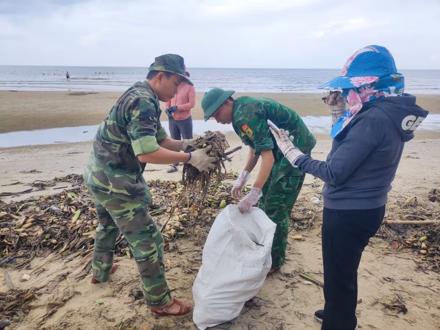Lượng rác trôi dạt vào bãi tắm Thủy Tiên chủ yếu là cây lục bình, thân cây khô, lọ, chai nhựa.