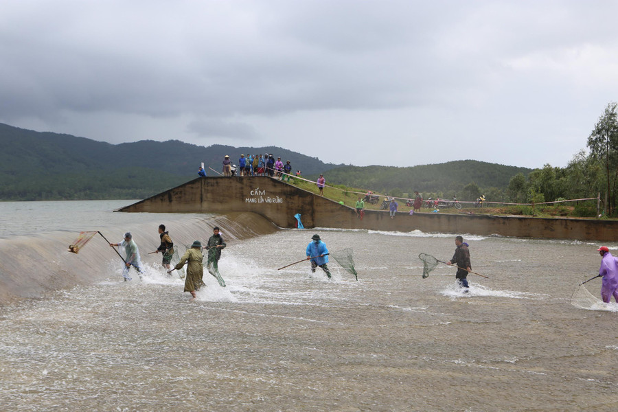 Khi cá vừa trôi qua tràn, các &quot;vợt thủ&quot; nhanh tay, nhanh mắt chỉ cần nhắm trúng con mồi kéo lên.