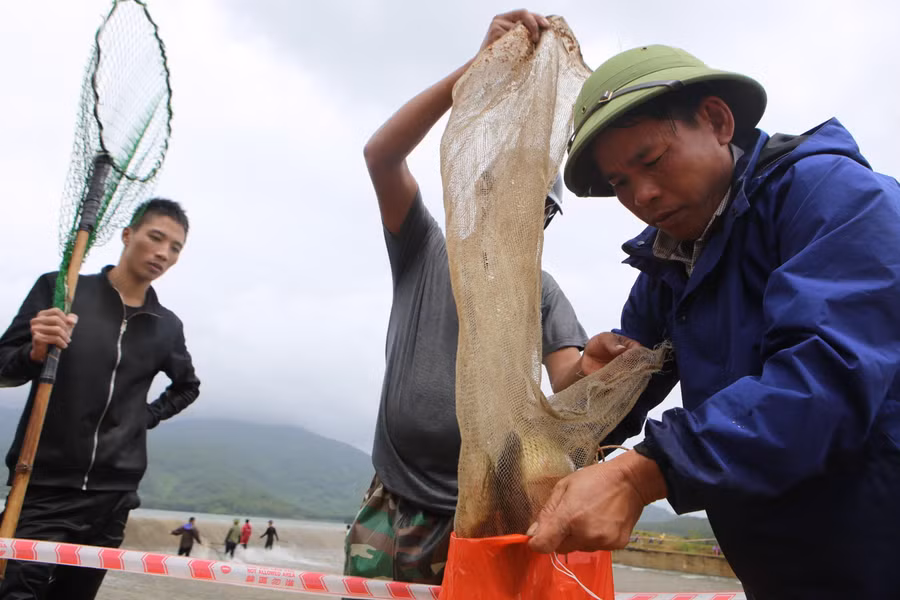 Một lãnh đạo xã Thuần Thiện cho biết, địa phương đã cắt cử cán bộ luân phiên, túc trực tại đây khuyến cáo người dân không được lao xuống tràn bắt cá, nhưng người dân vẫn phớt lờ. Một lãnh đạo xã Thuần Thiện cho biết, địa phương đã cắt cử cán bộ luân phiên, túc trực tại đây khuyến cáo người dân không được lao xuống tràn bắt cá, nhưng người dân vẫn phớt lờ.