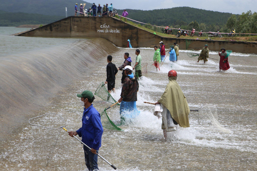 Người dân đứng xếp thành hàng ngang chờ từng đợt cá trôi qua đập tràn. Khung cảnh đánh bắt cá trên khu vực đập Cu Lây vô cùng nhộn nhịp.