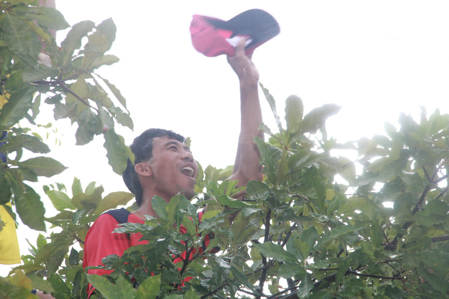 Một cổ động viên trèo lên cây để cổ vũ tinh thần cho đội nhà. Một cổ động viên trèo lên cây để cổ vũ tinh thần cho đội nhà.