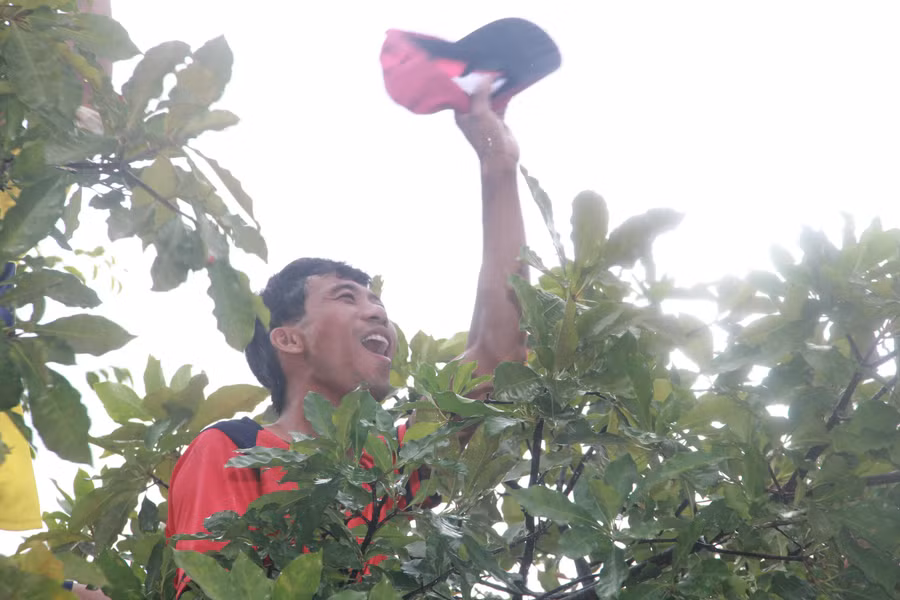 Một cổ động viên trèo lên cây để cổ vũ tinh thần cho đội nhà.