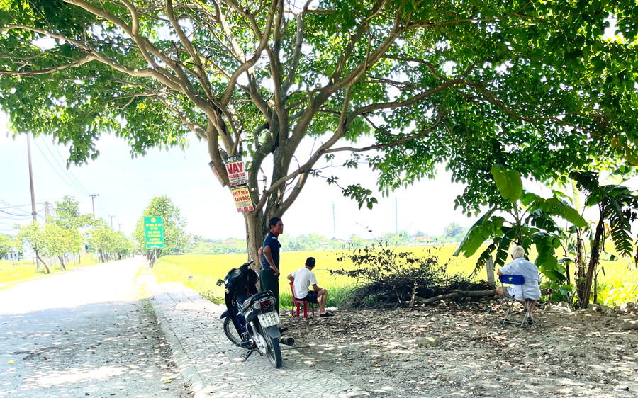 Mất điện trong thời điểm nắng nóng đạt đỉnh, người dân vùng ven đô Thạch Hạ (TP Hà Tĩnh) đổ ra những khu vực có bóng mát để nghỉ ngơi.